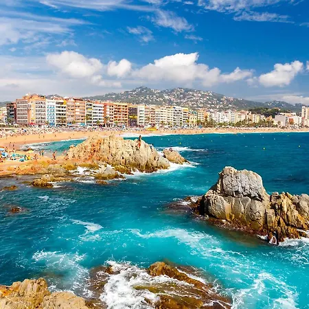 Apt Petxina Yellow Lloret de Mar